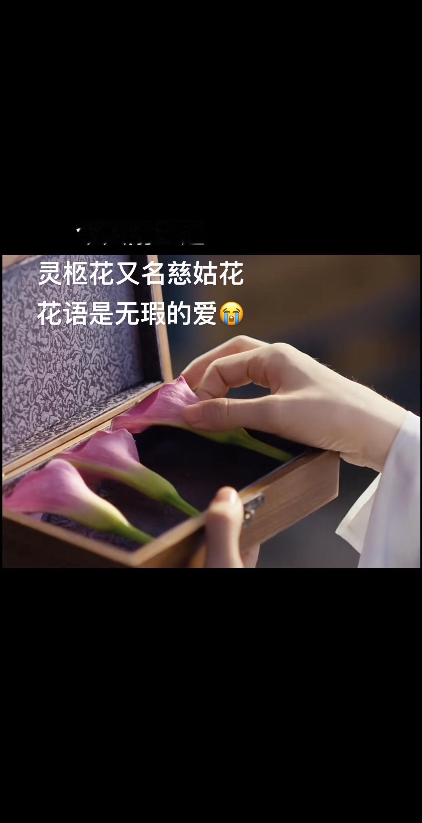 #鲨宝明星精美图片[超话]#  🦋#鲨宝图集库# 🦋#流水迢迢# 🦋#任嘉