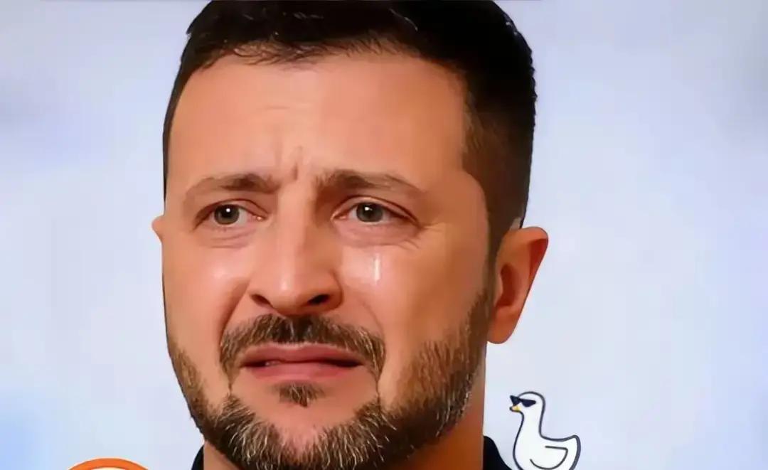 快讯 ！快 讯
乌克兰正式宣告了 ！
11月26日泽连斯基把最新声明发到官方频道