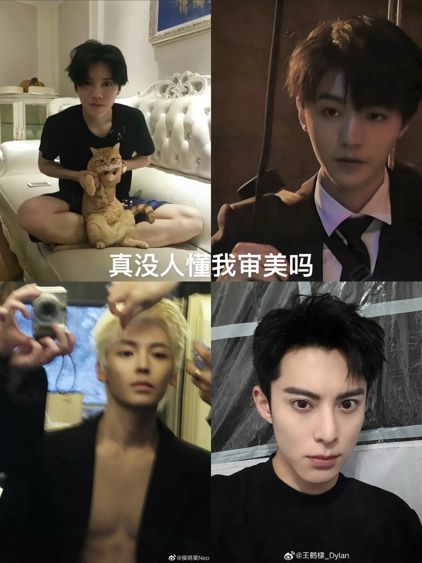 侯明昊 王俊凯 鹿晗 王鹤棣