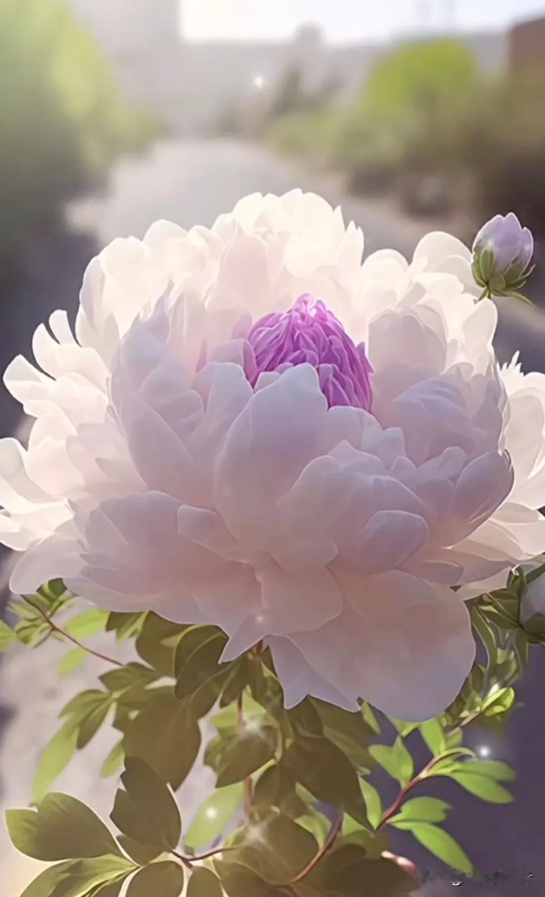#上联；花开花落花无语，下联怎么对#
上联；花开花落花无语，
下联:   春去春