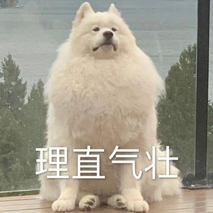 丰富一下表情包
