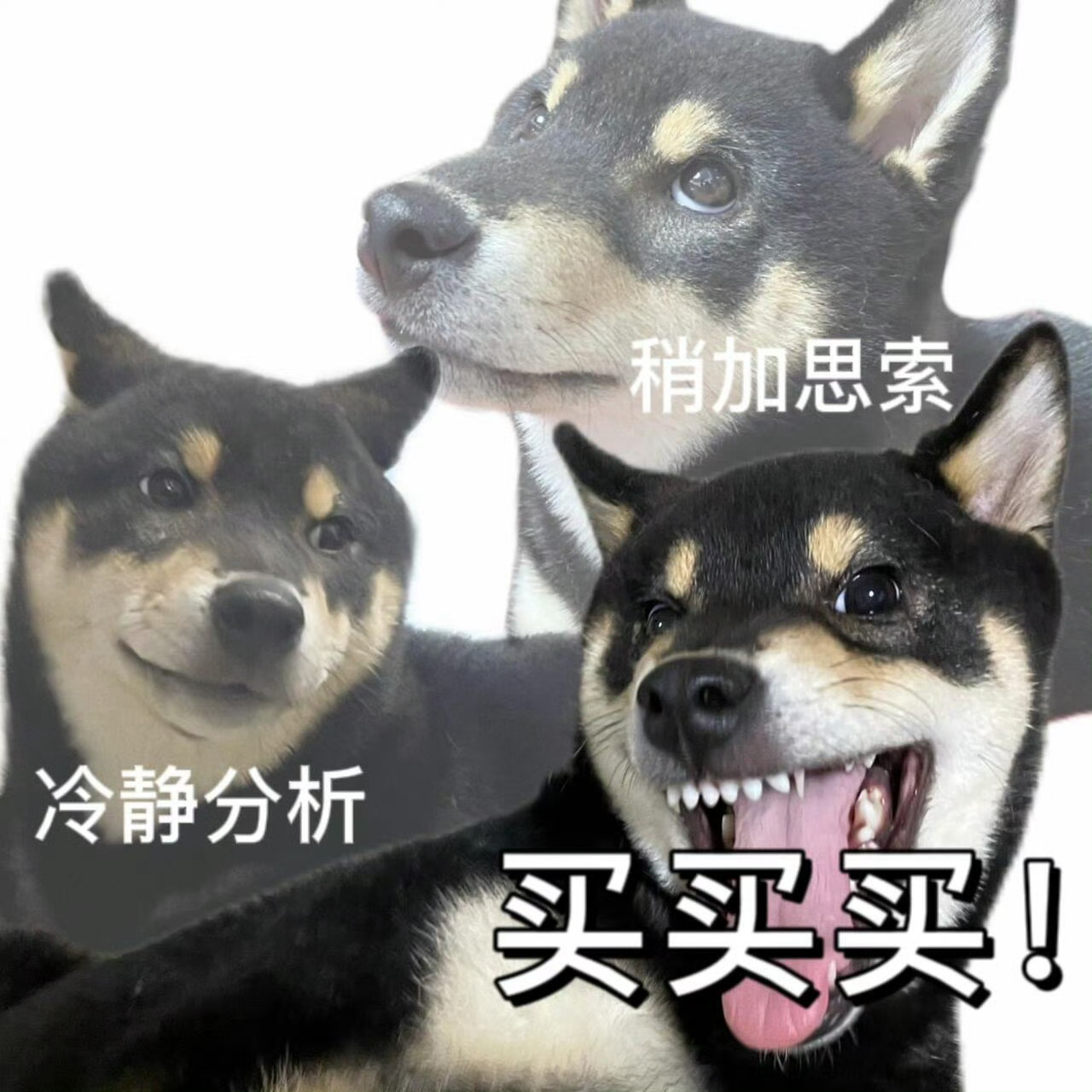 京东1元拍卖世界上最快乐的地方大人也能感受的六一快乐~1yuan参与竞拍，完全没