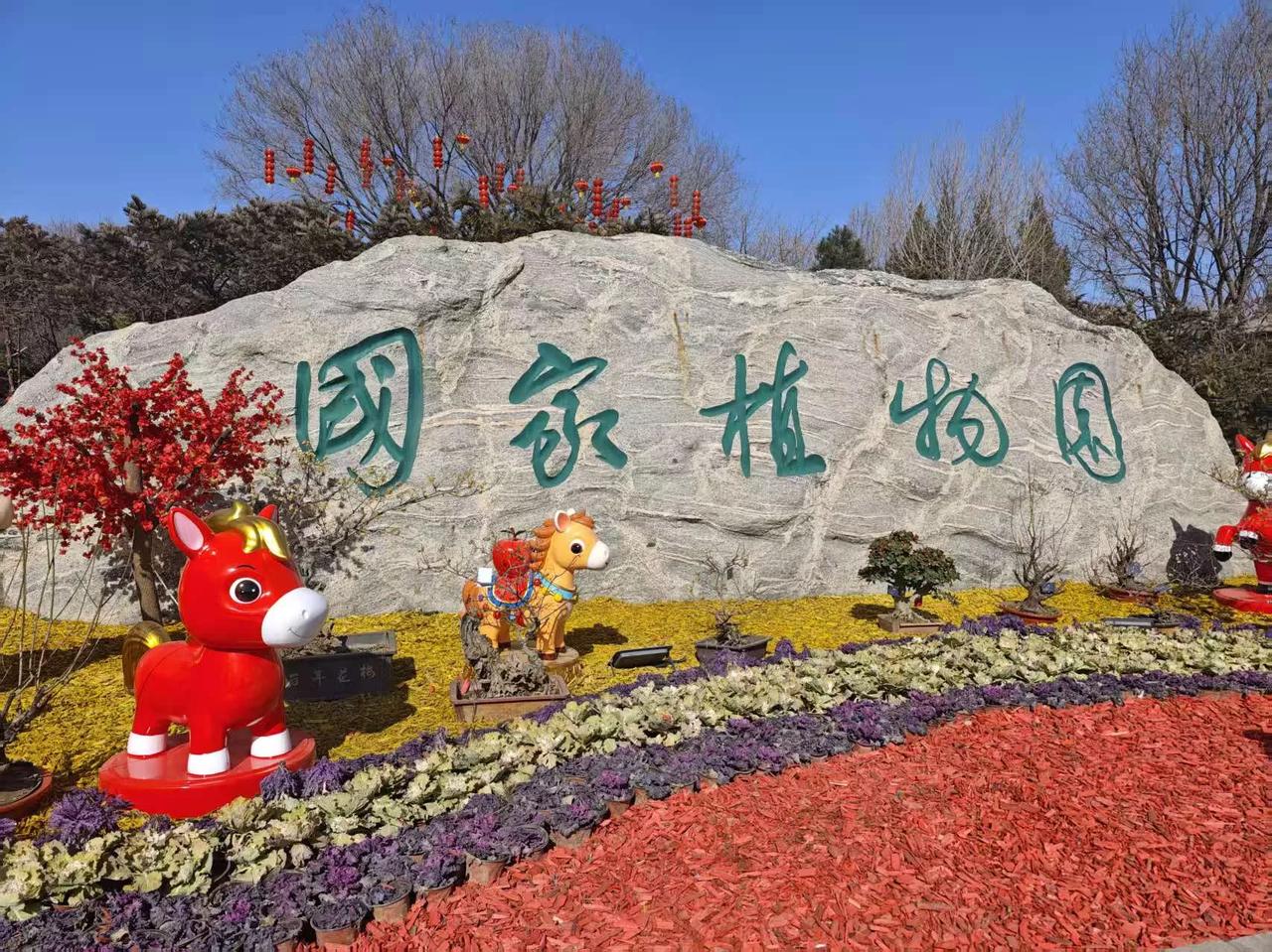不见兰花，先闻其香。
北京国家植物园第四届兰花展。