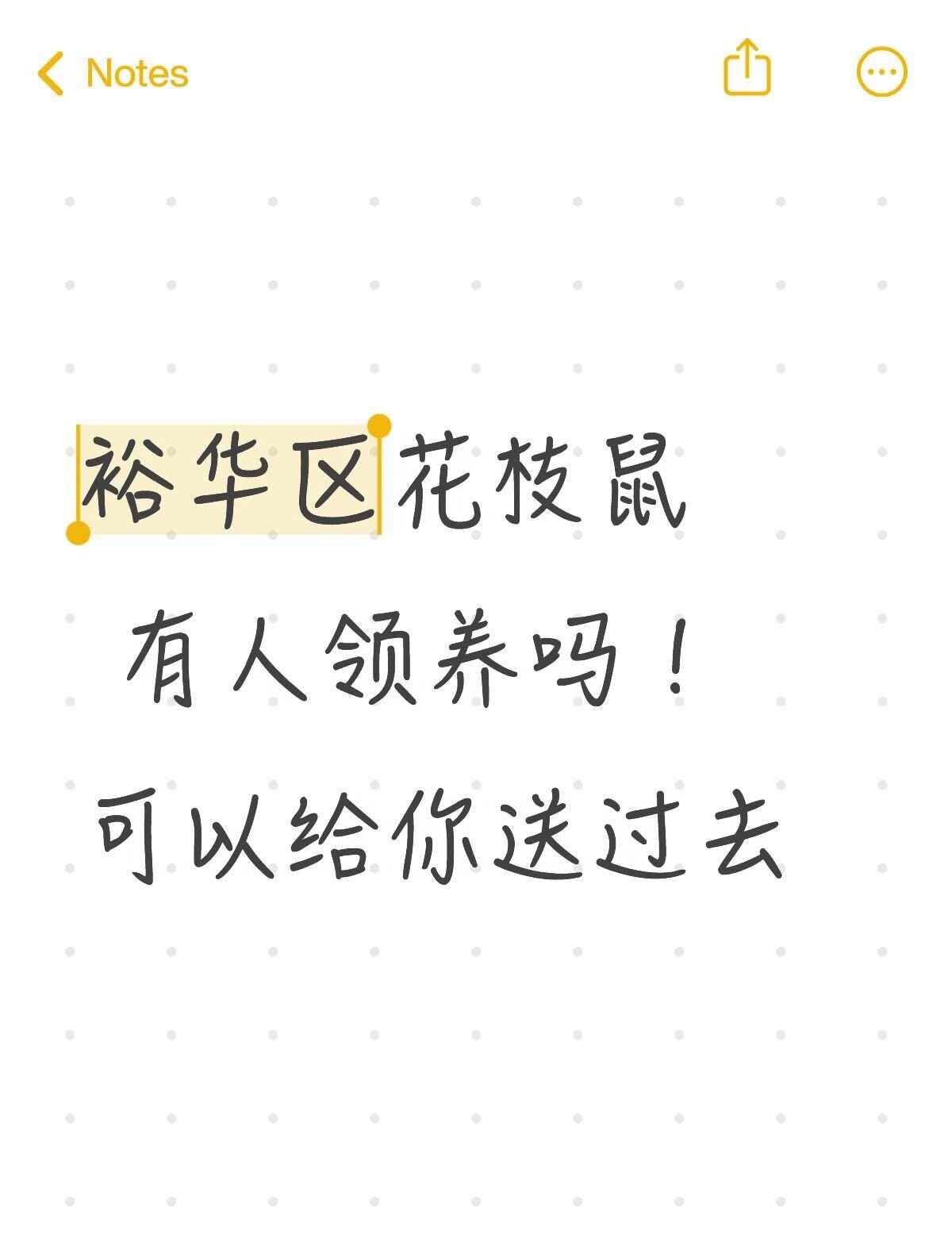 石家庄裕华区领养
裕华区花枝鼠 有人领养吗！可以给你送过去
生了一窝，现在小鼠2