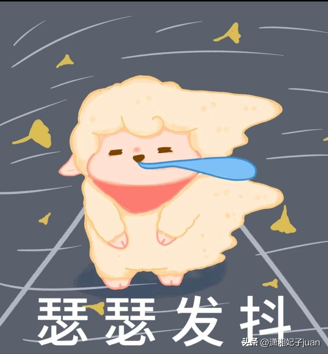 这两年一到冬季，
羽绒服都是必买品，
想当年念书那些年，
整整一个冬天，
就靠毛