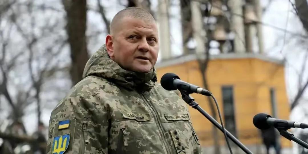 乌克兰这次反攻，兵力损失亮起了警报！

扎卢日内说，他给美国的米利将军打电话“如