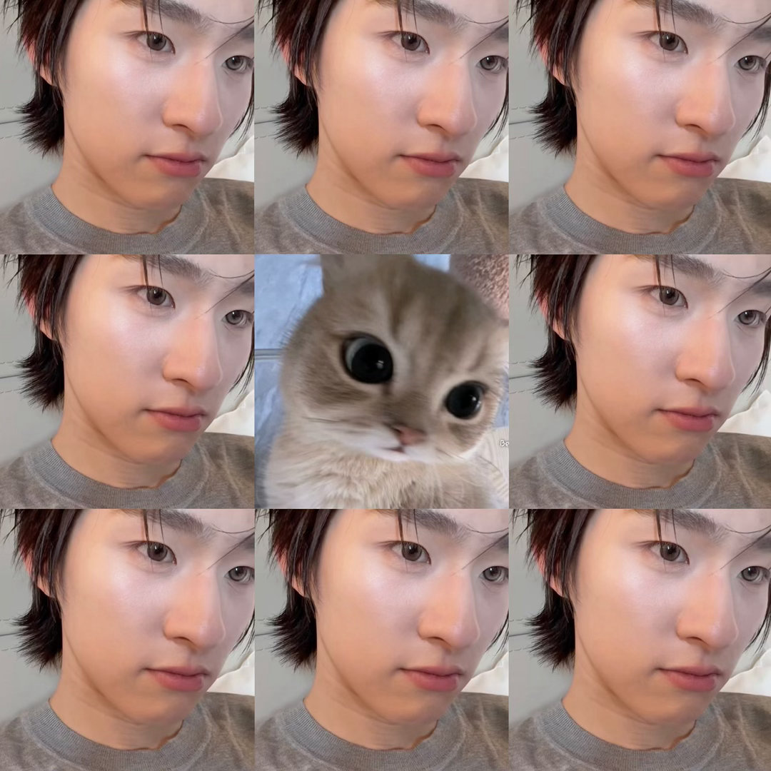 猫猫🤏🏻 ​​​