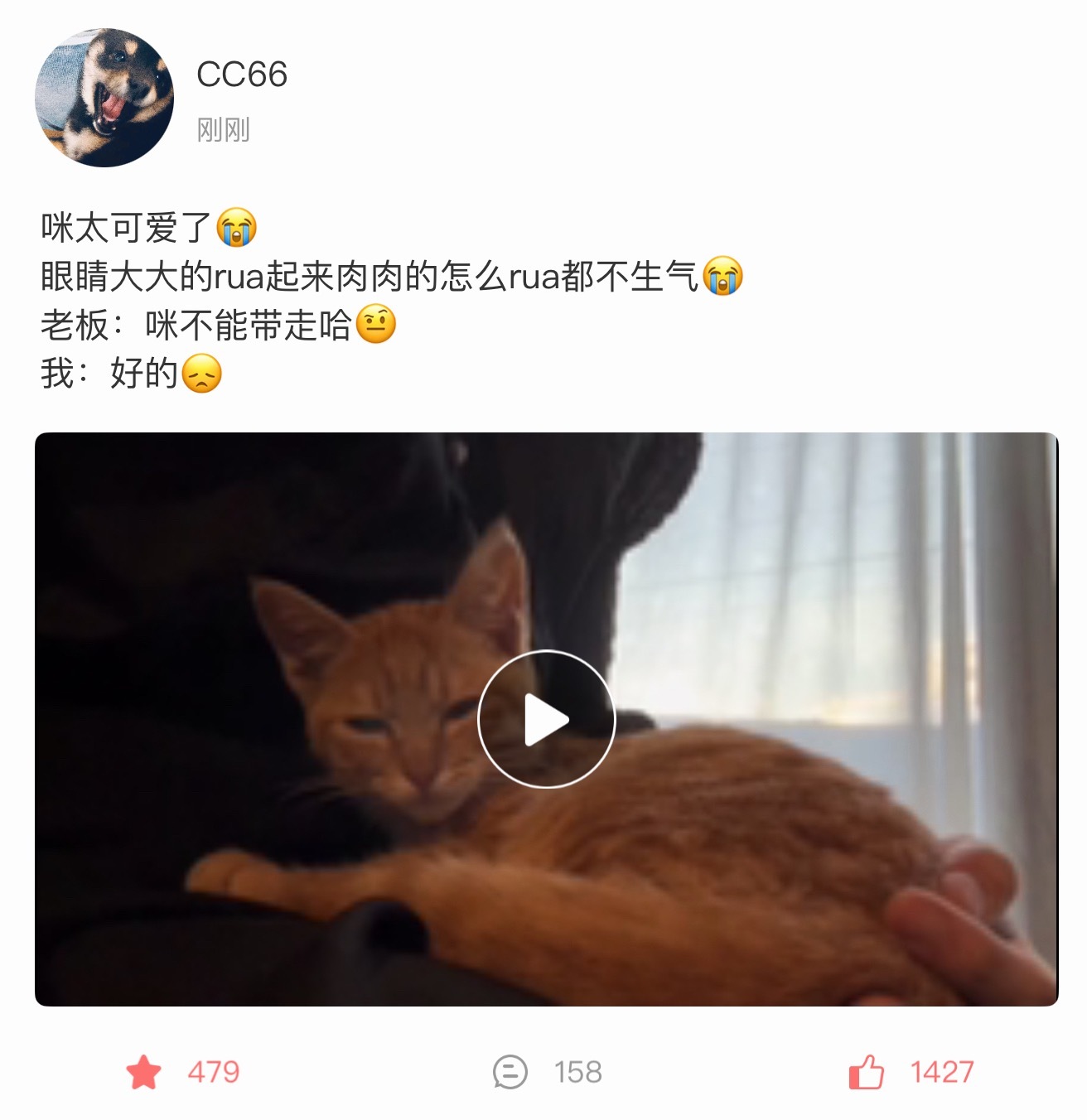 啥意思啊啥意思啊😭😭 