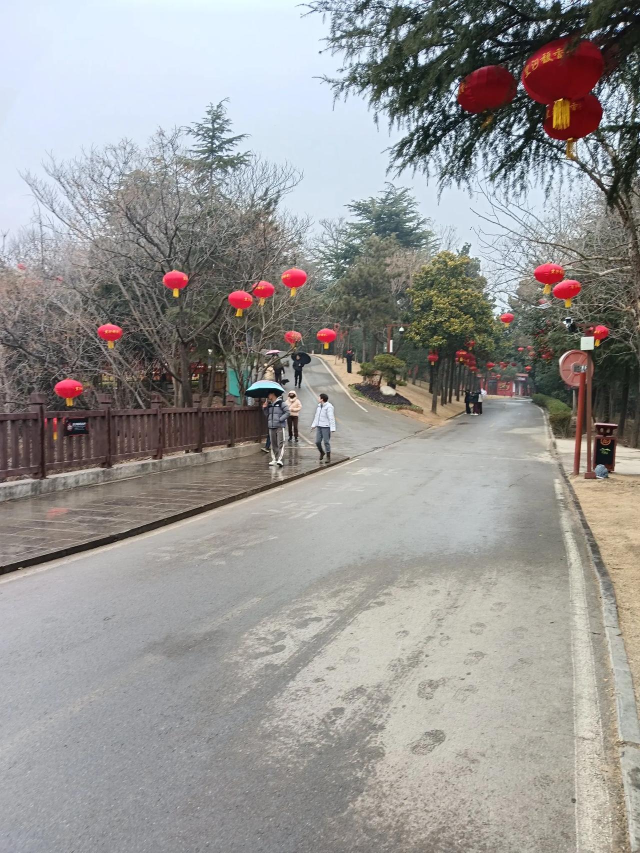 去汉梁王墓地参观随拍