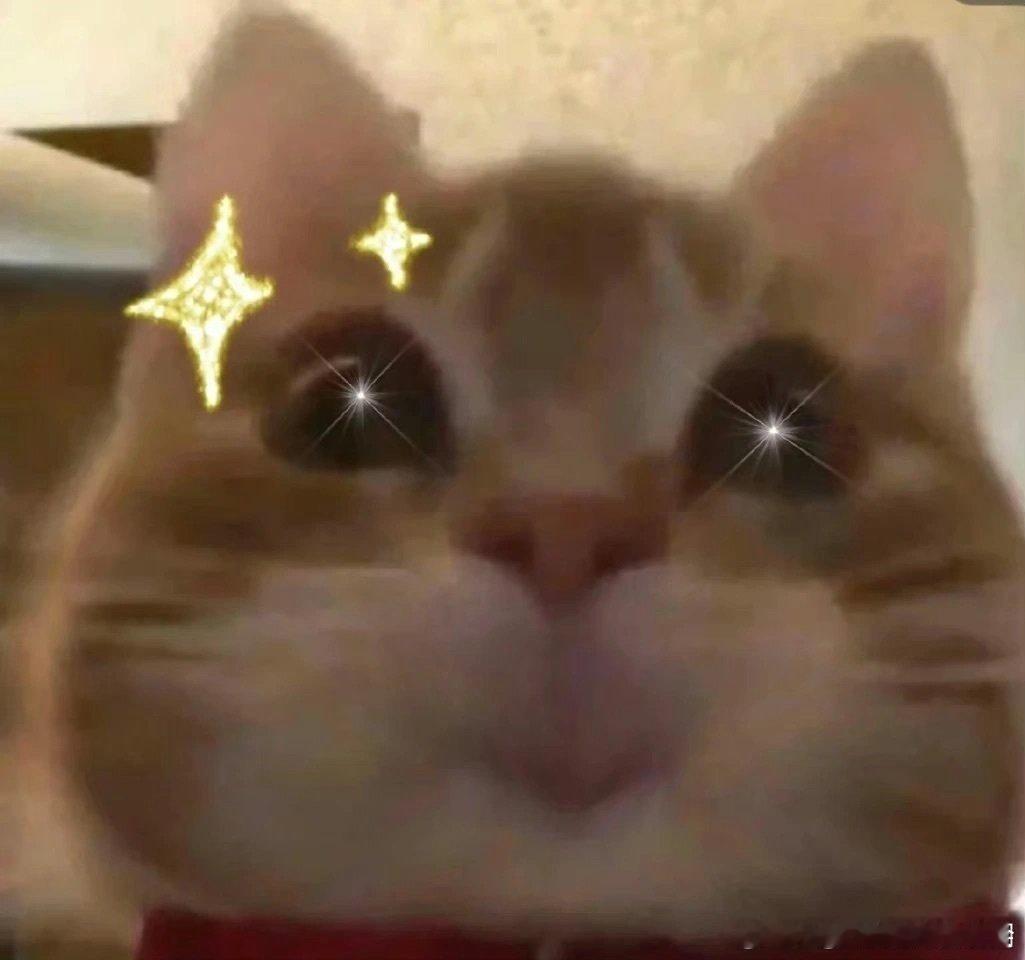 #邓亚萍说中国乒乓梯队建设从未断代#邓亚萍的话语让人动容，中国乒乓球队的梯队建设