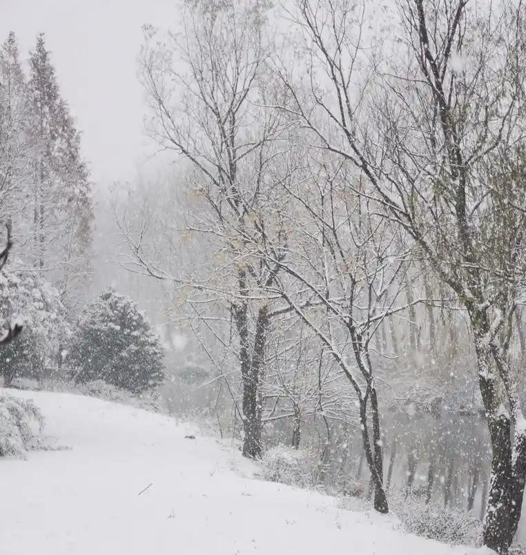 这次寒潮，重点已经不是降温了。中央气象台的首席预报员张涛说，真正要命的，是马上要