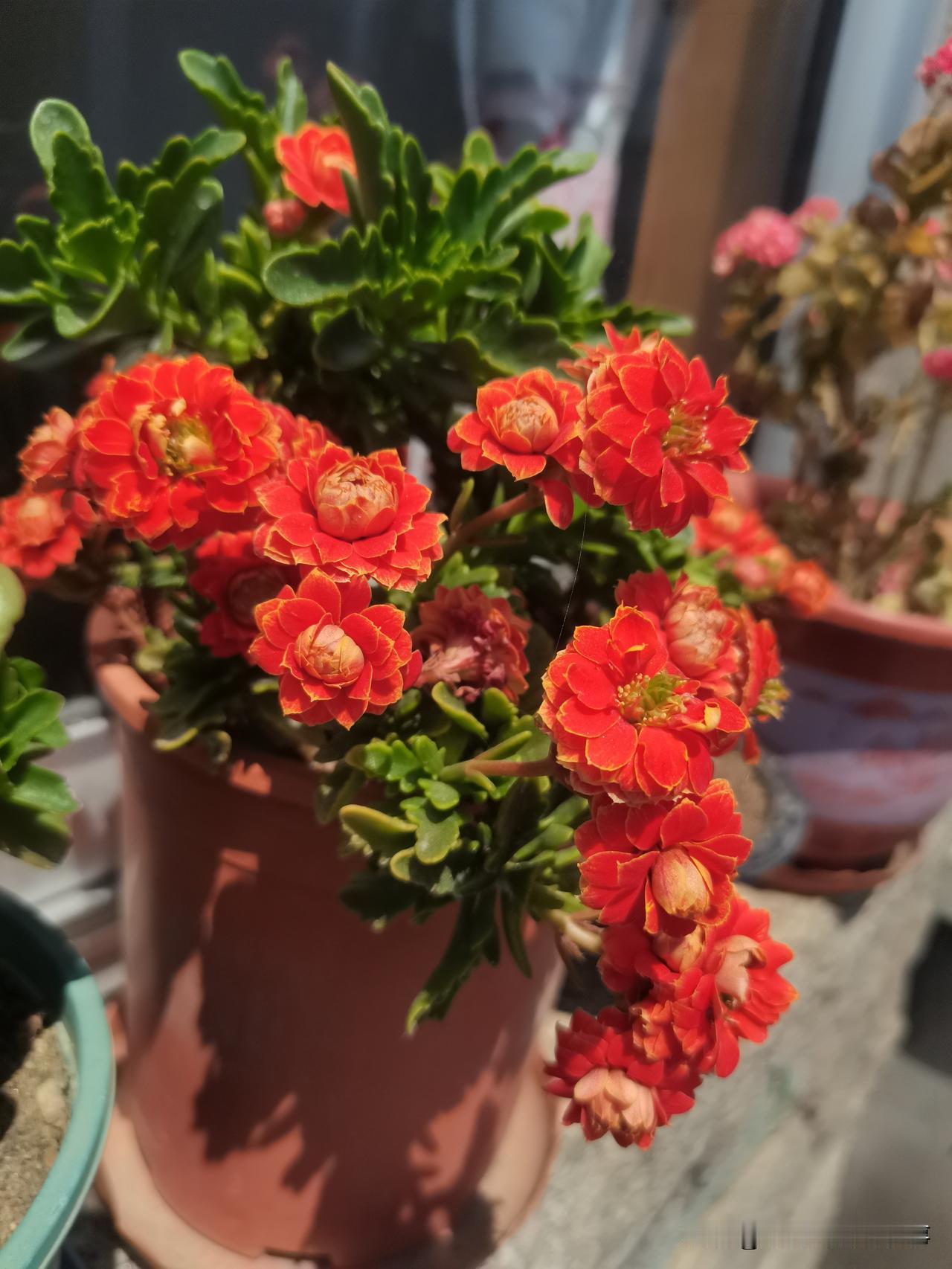 认识一大哥，提出加微信，说是方便以后有事联系，不好意思拒绝，就同意了。
微信加上