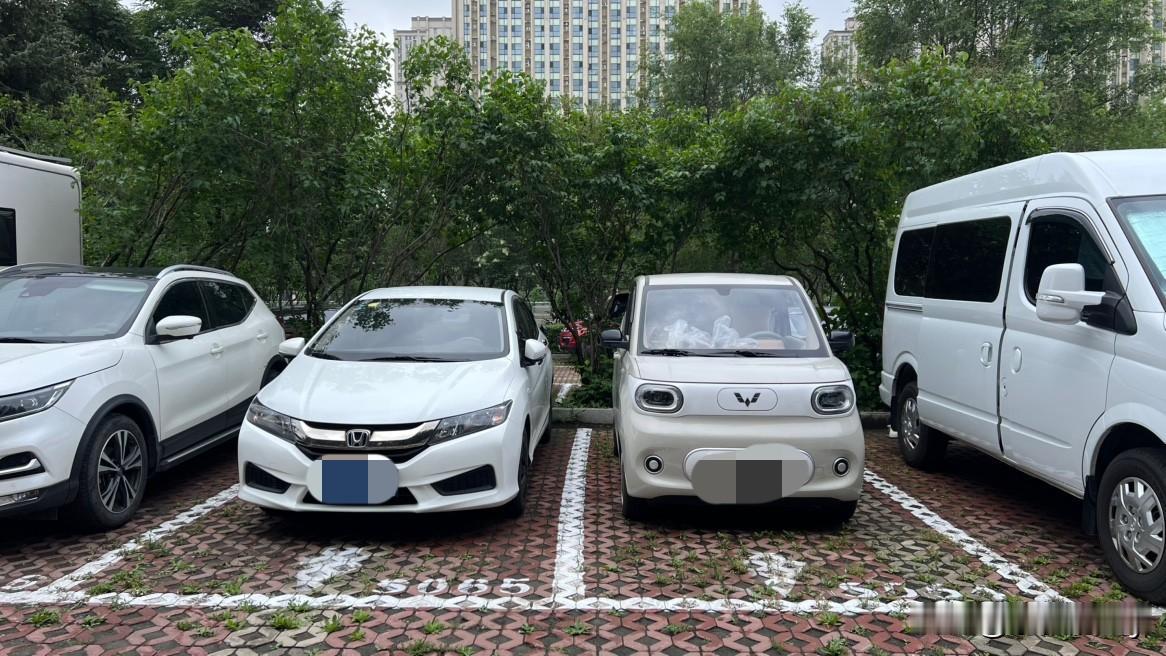开着215公里的五菱mini电车，一个人自驾游中国，我来到了黑龙江省哈尔滨市。再