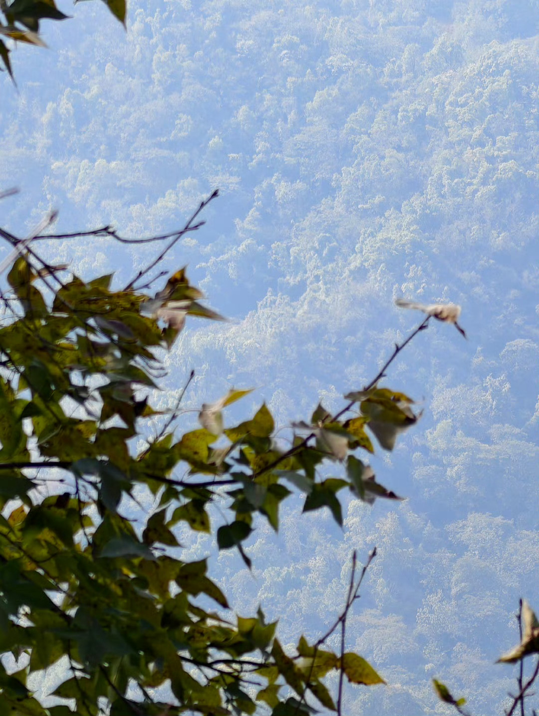 出发比抵达更重要出发永远比抵达更自由～大胆走出去才能看到心心念念的风景，要一直一