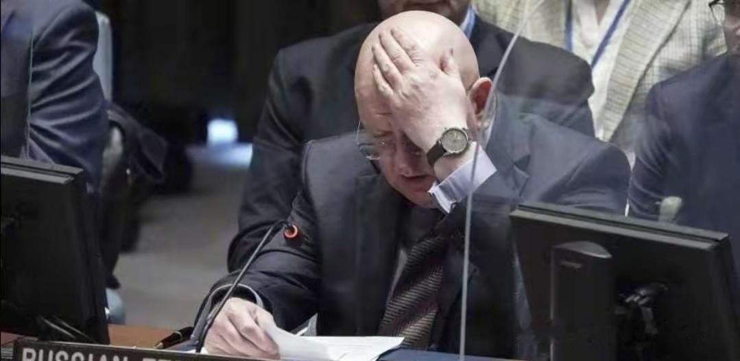 “俄乌签署和平协议的前提，是消除俄罗斯发起特别军事行动的根本原因”，俄罗斯常驻联