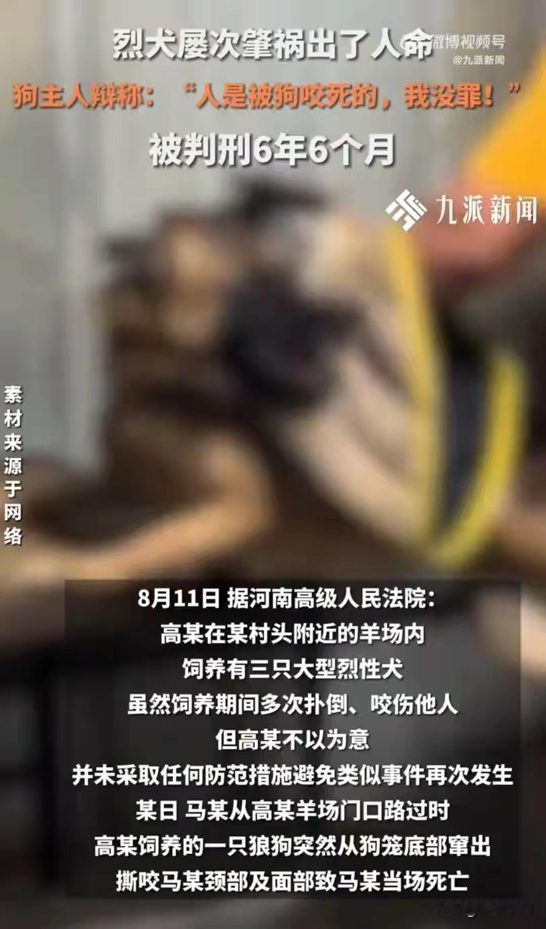 我敢打包票，这个狗主人的良心从此不得安宁。

你想想，狗主人高某在自己的羊场豢养