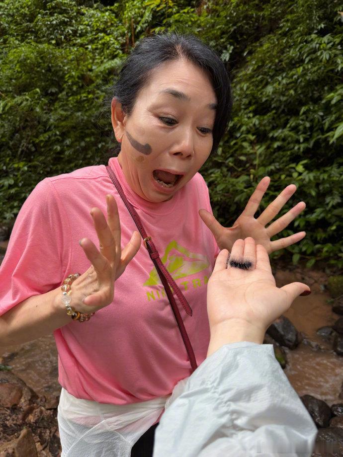 张馨予抓毛毛虫吓妈妈张馨予抓毛毛虫张馨予分享云南户外日常，抓毛毛虫吓妈妈，妈妈的