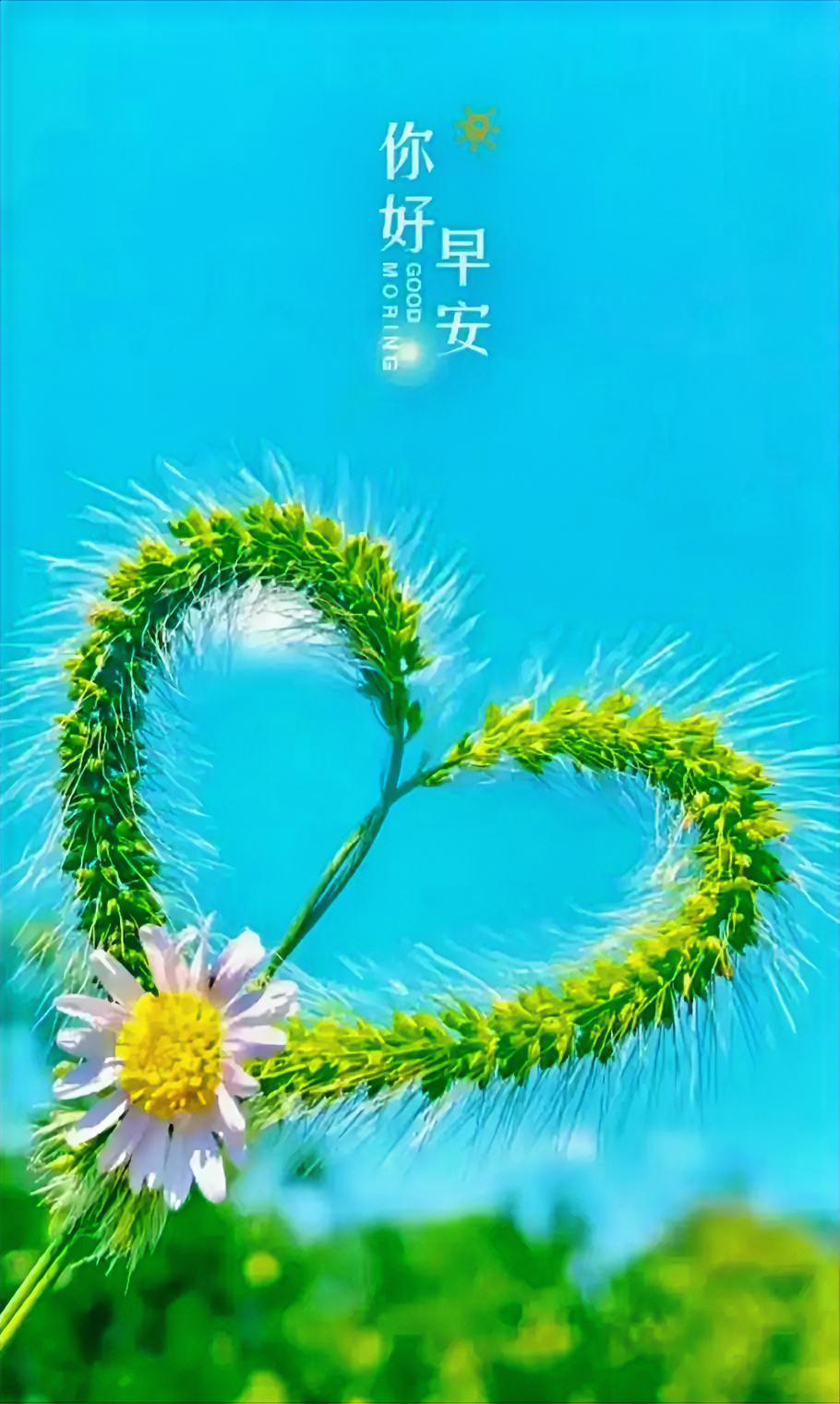 以晨为序，向海前行，早安！
生活不会辜负认真之人，每个清晨皆是全新开端。
放下昨