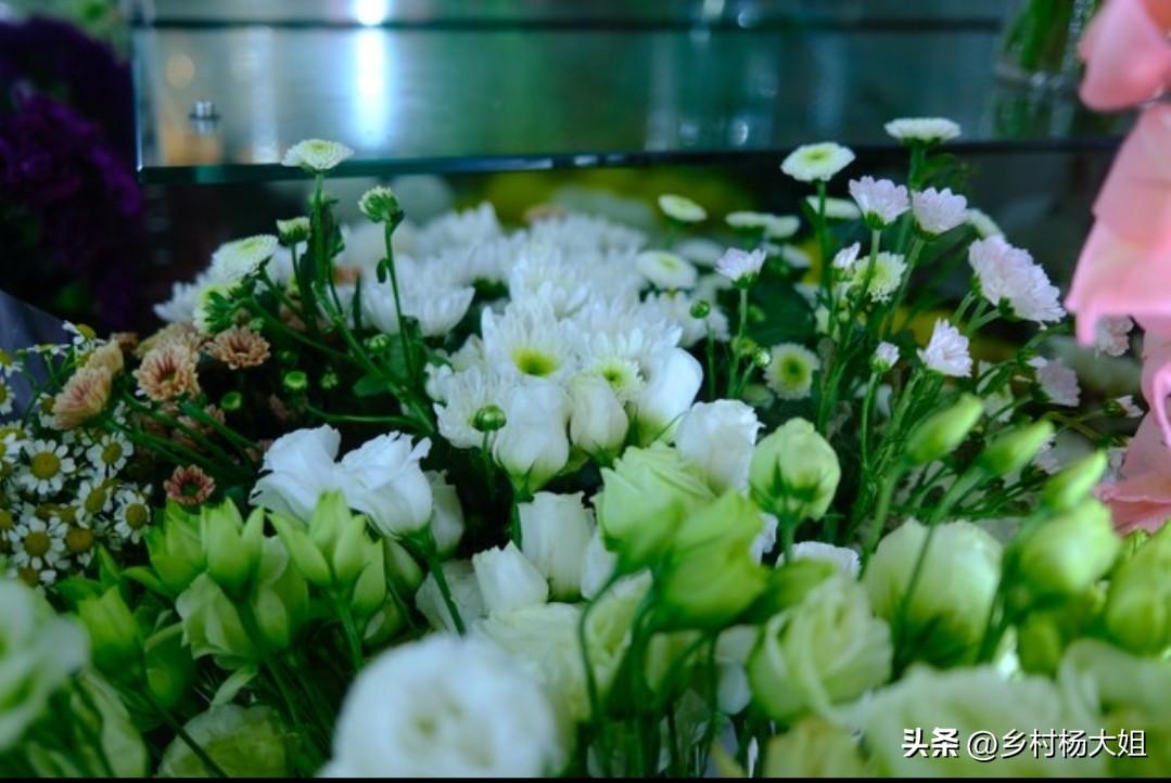 听朋友说他们那里，有个大学生在殡仪馆工作后，老想自杀，后来终于自杀成功，背后大家