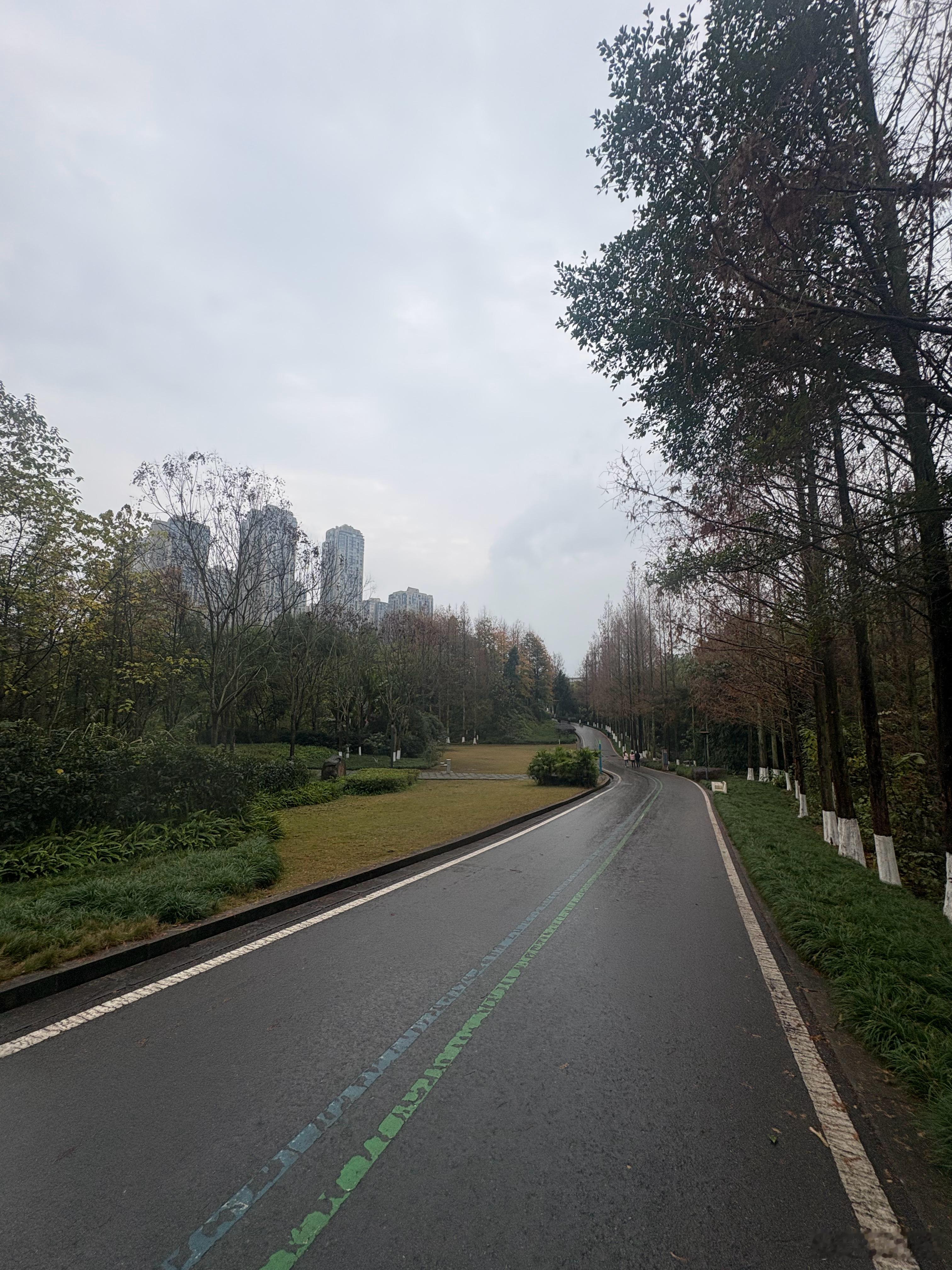 比较两款AI模型——照片处理能力” 12月26日 用两种不同AI模型以相同的提示