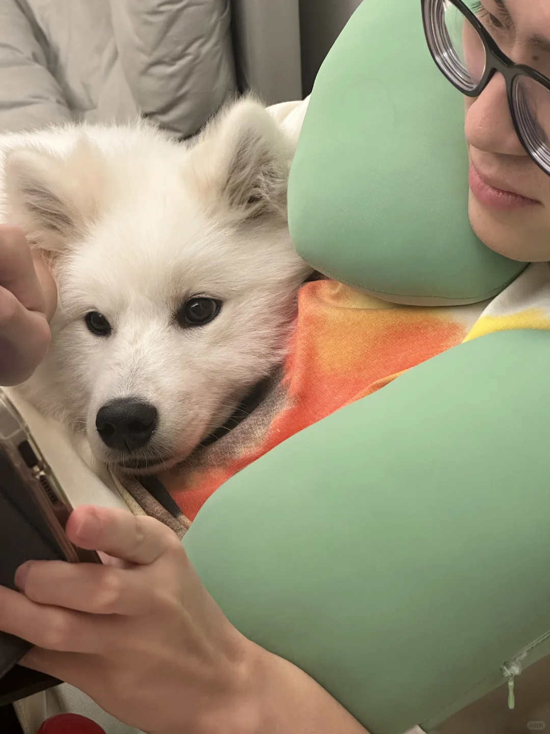 大晚上不睡觉非要粘着她爹金铲铲