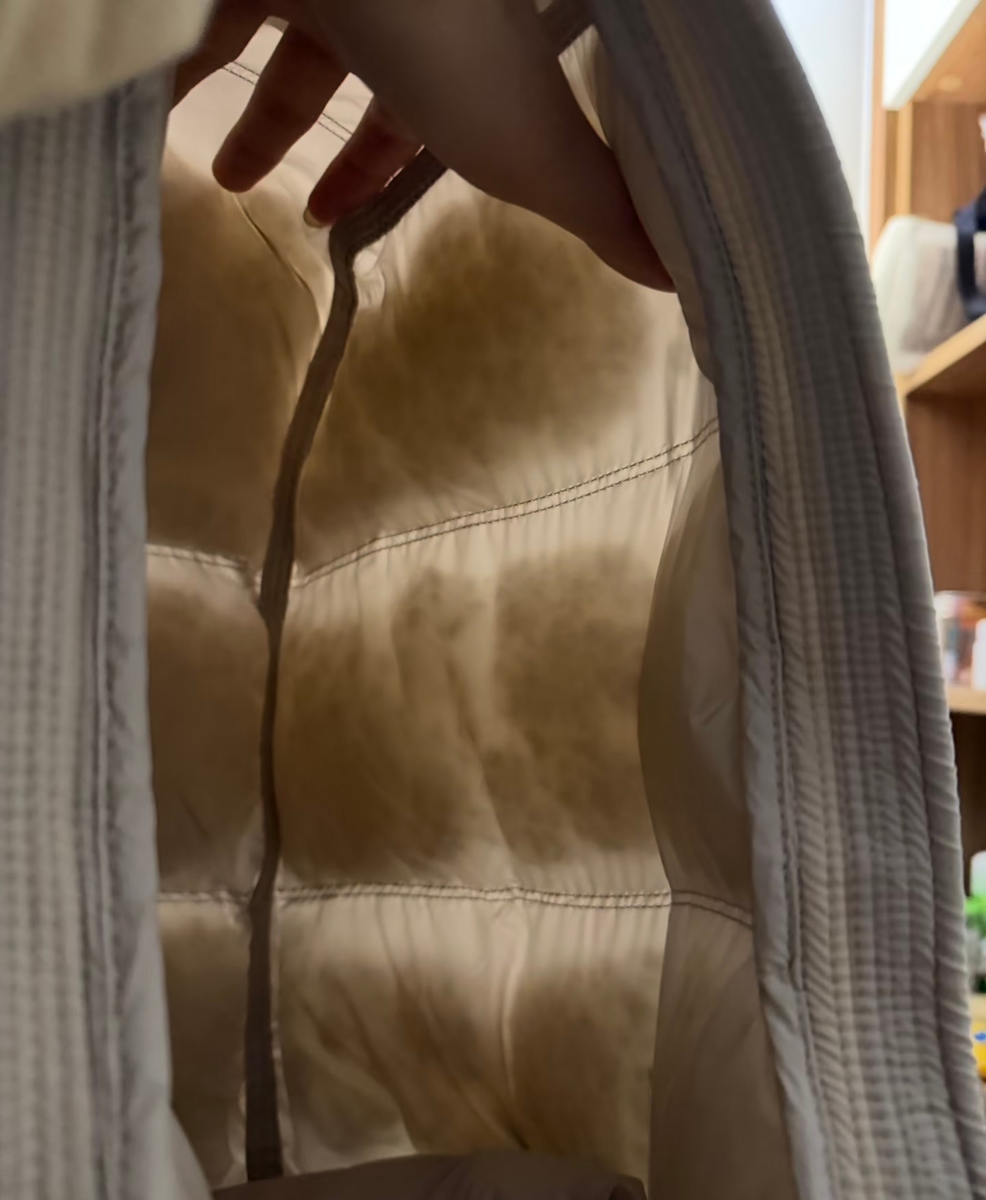 这是不好的绒吗 能看出来吗