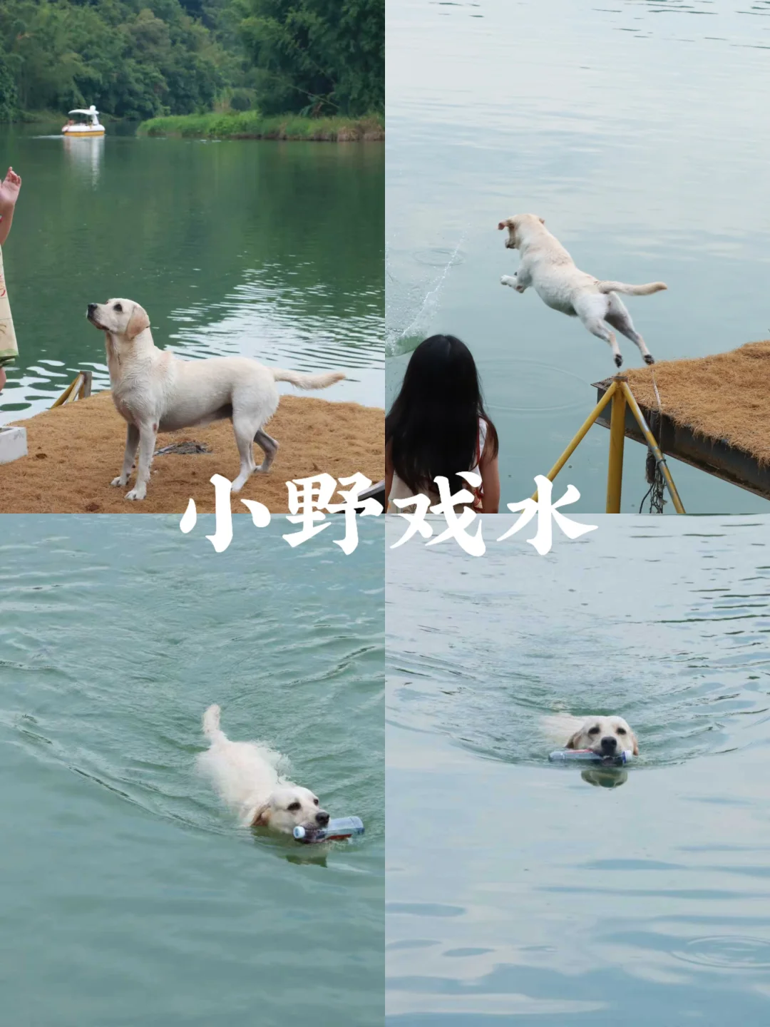 童年顶配！有狗有湖有玩伴的山野假期⛰️