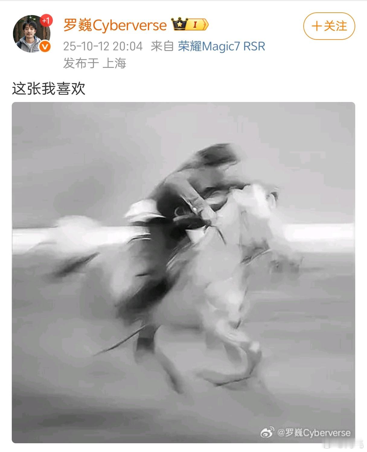 知名抽象派艺术家。 ​​​