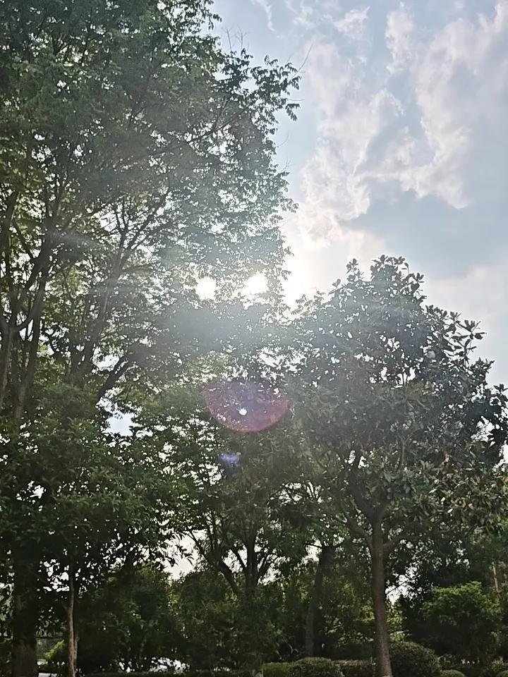 一个人一条路
一路走下来，已过10年。
问青春在哪流失？
青春问我
你曾在哪逗留