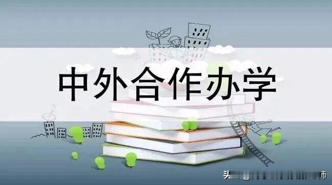 【2026山东新增中外合作办学情况】

一、合作办学机构（4个）

1. 山东大