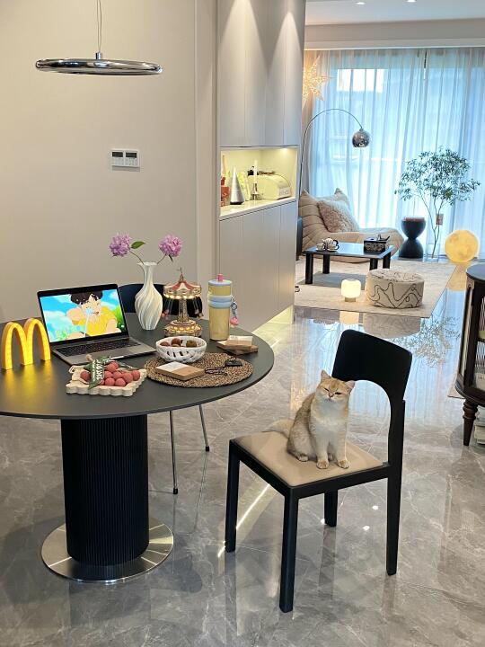 29岁，和猫🐈一起住在这样的小家🏠超幸福！