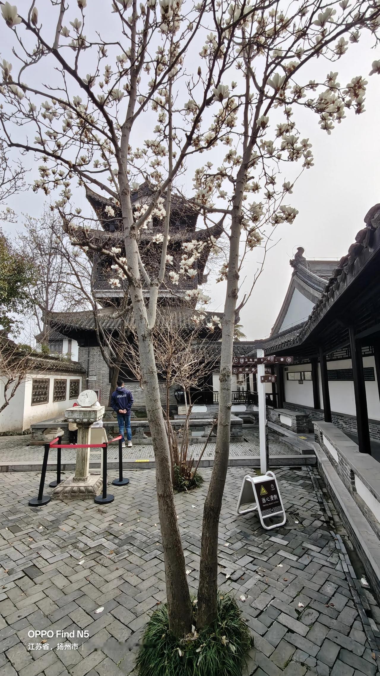 腰缠十万贯，骑鹤上扬州