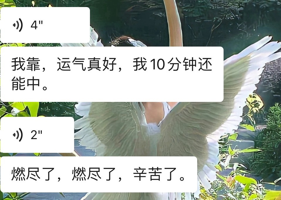 我靠我真的好想哭你们知道吗 我和我朋友找的同一个pw 我们三个人群 另一个没找的