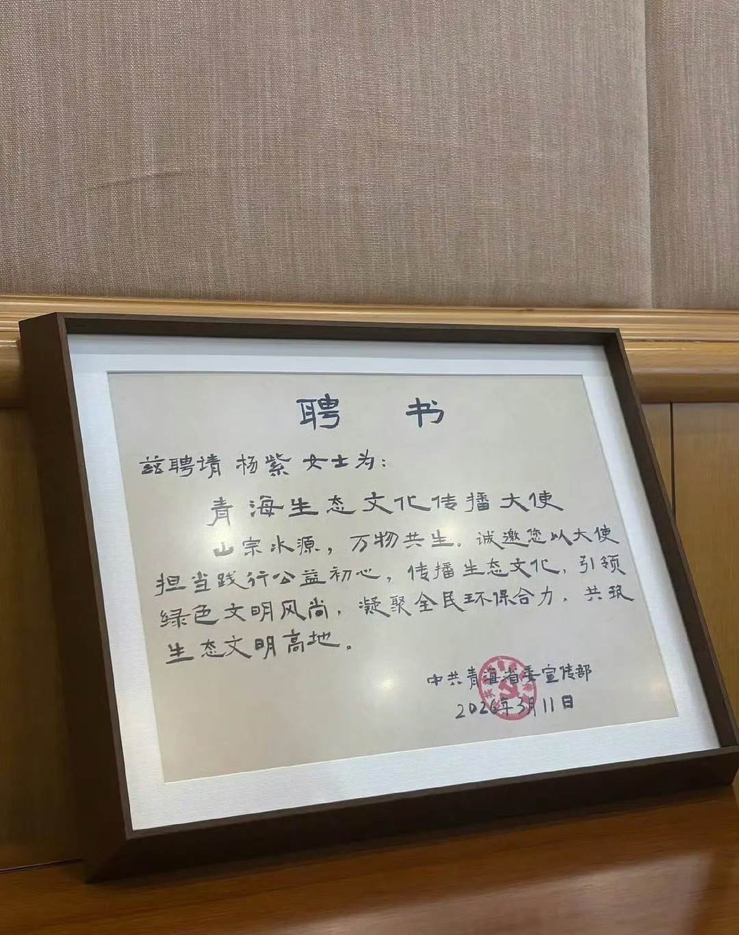 杨紫获聘青海生态文化传播大使，生命树红利+1 