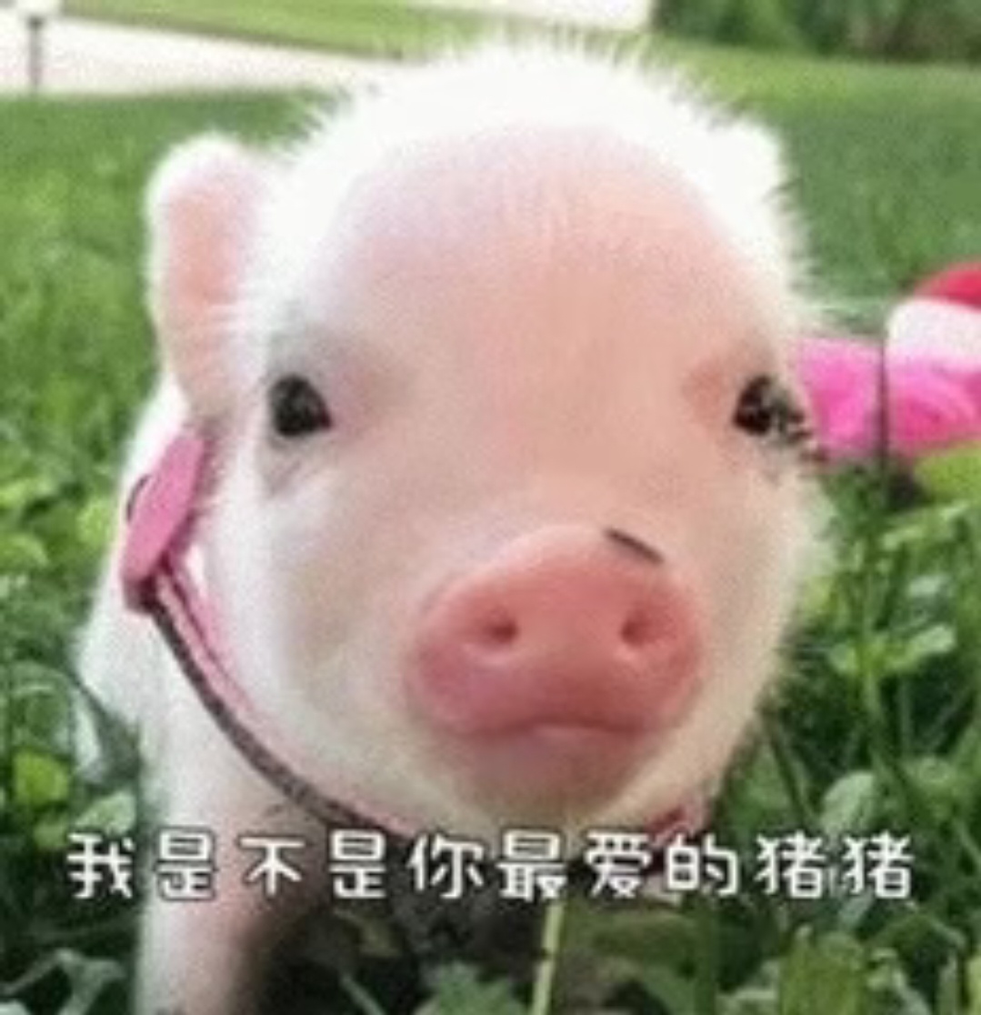 今日🐏铁 