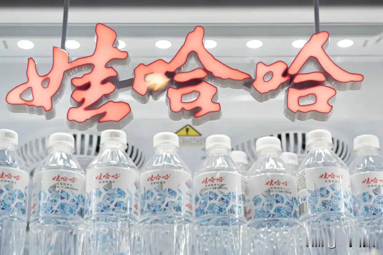 娃哈哈的关联公司因为拖欠员工公积金，办公楼被查封了。

虎林那个生产基地关停，近