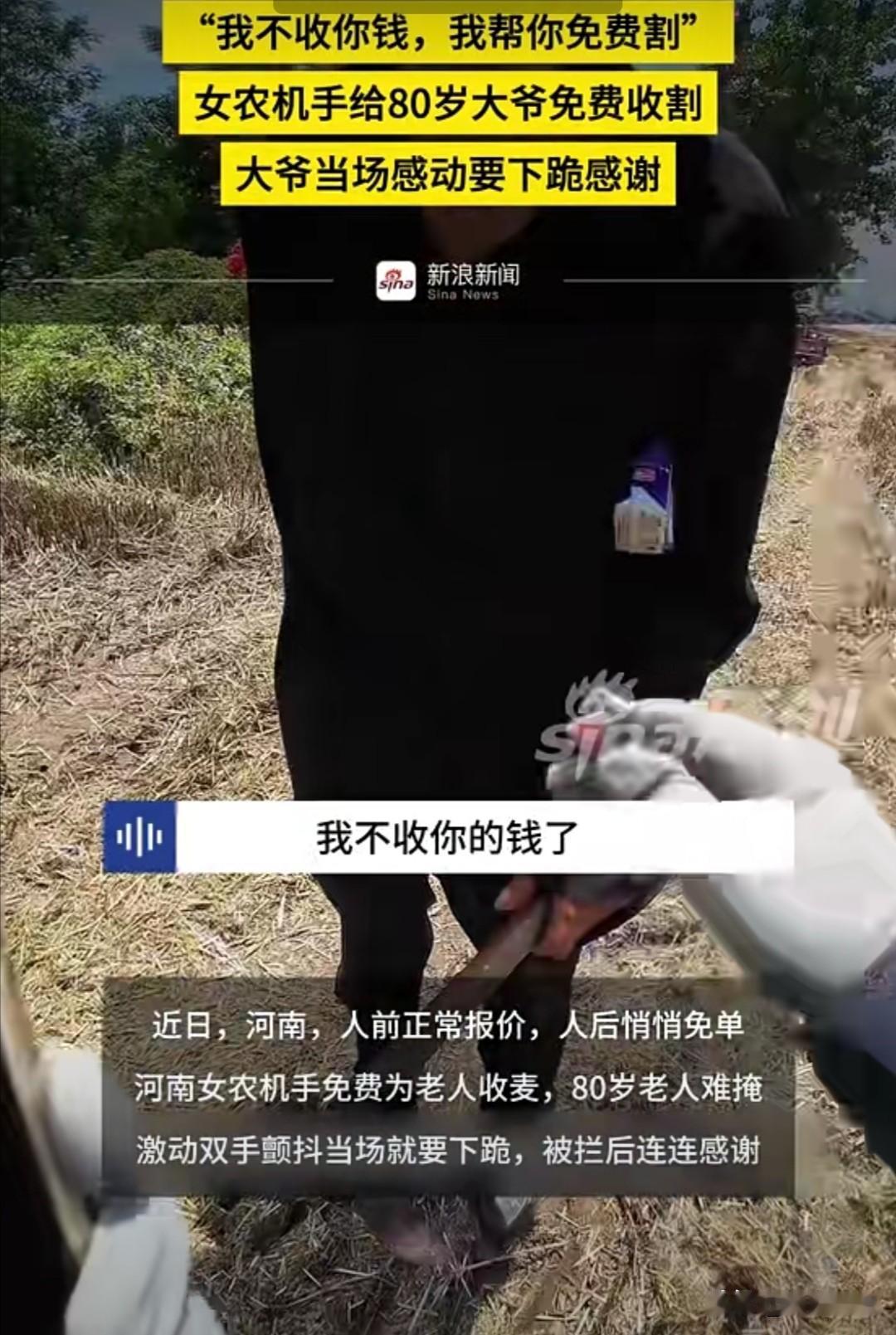 近日，河南一位80岁的老大爷，因为一位女农机手免费帮他收割麦子，激动得当场要下跪