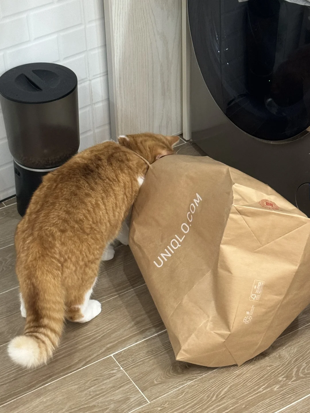 头卡住了也要吃饭