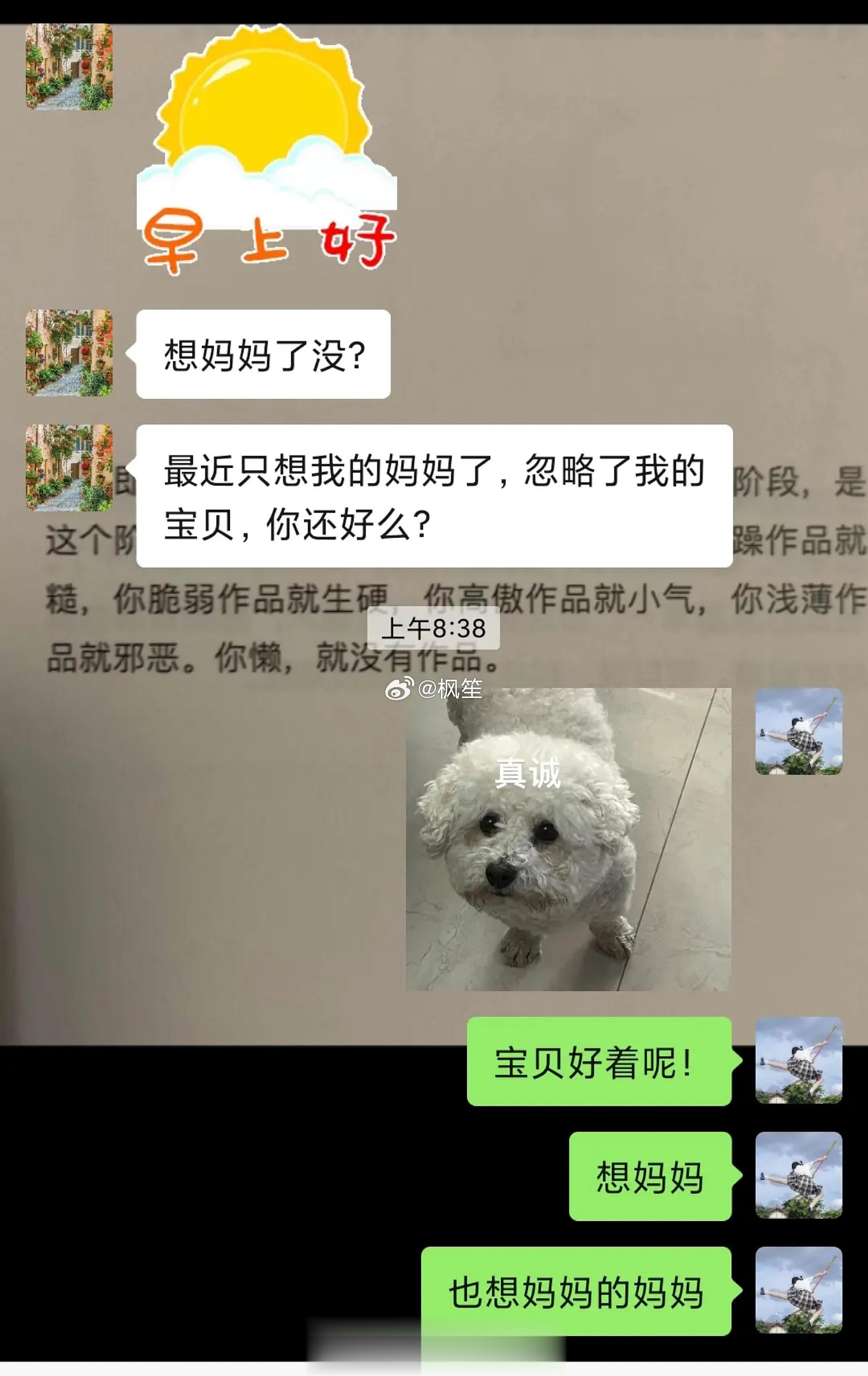 姥姥去世一周后 妈妈给我发的短信 ​​​