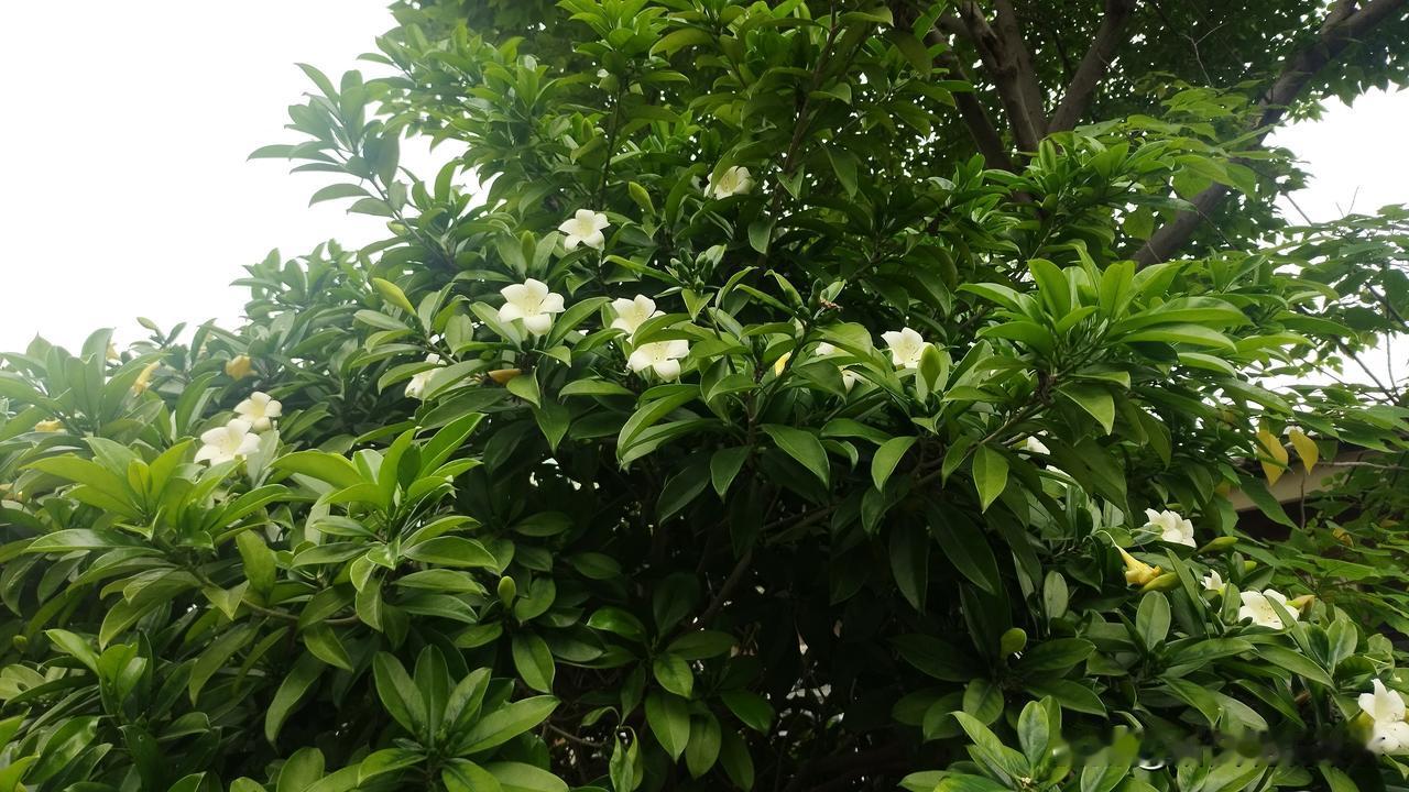 五四逢晨光，青春不问年龄。
岁月会添年轮，心境可永远年少。
保持热忱，心怀热爱，