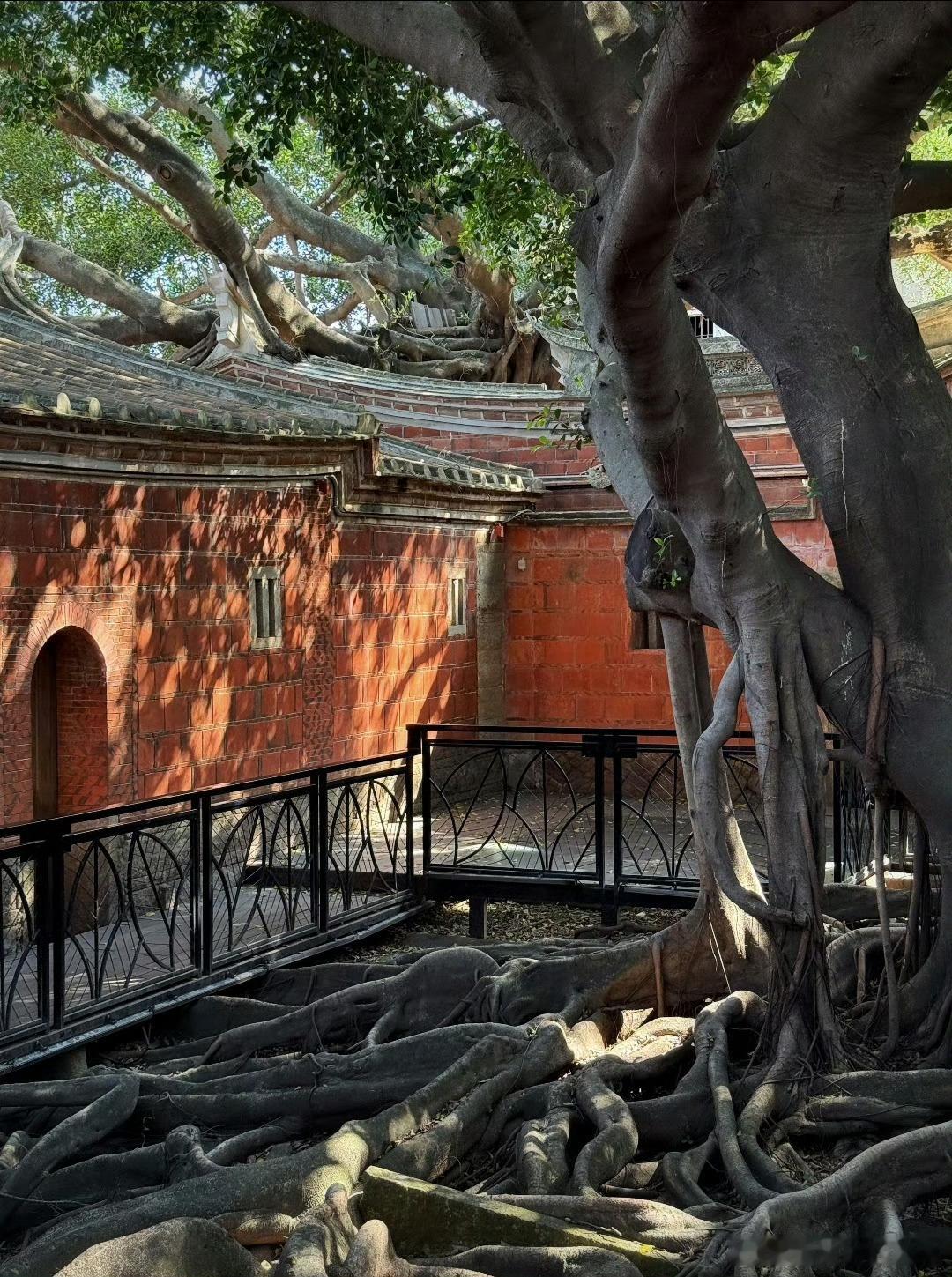 在梧林享受视觉盛宴🎐泉州梧林上演绝美大秀！古村落里搭起时尚T台，非遗文化与现代