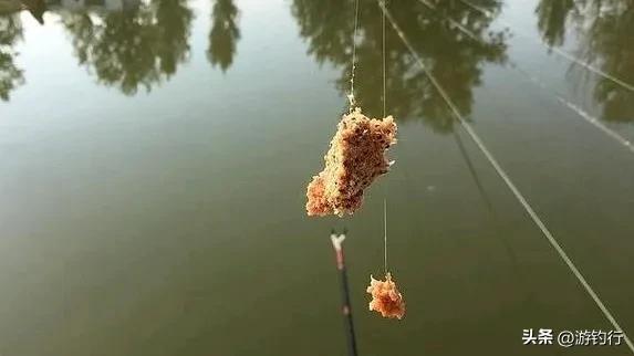 闷竿钓法捏散炮有用吗？什么样的散炮状态才能起到聚鱼留鱼的作用呢？
只要散炮的状态