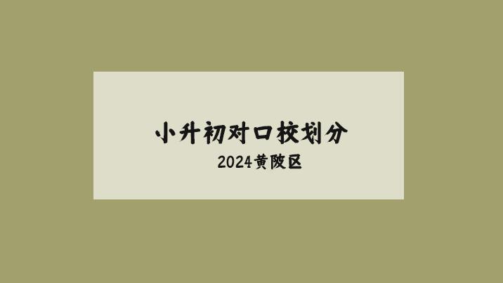 2024黄陂区小升初对口学校划分