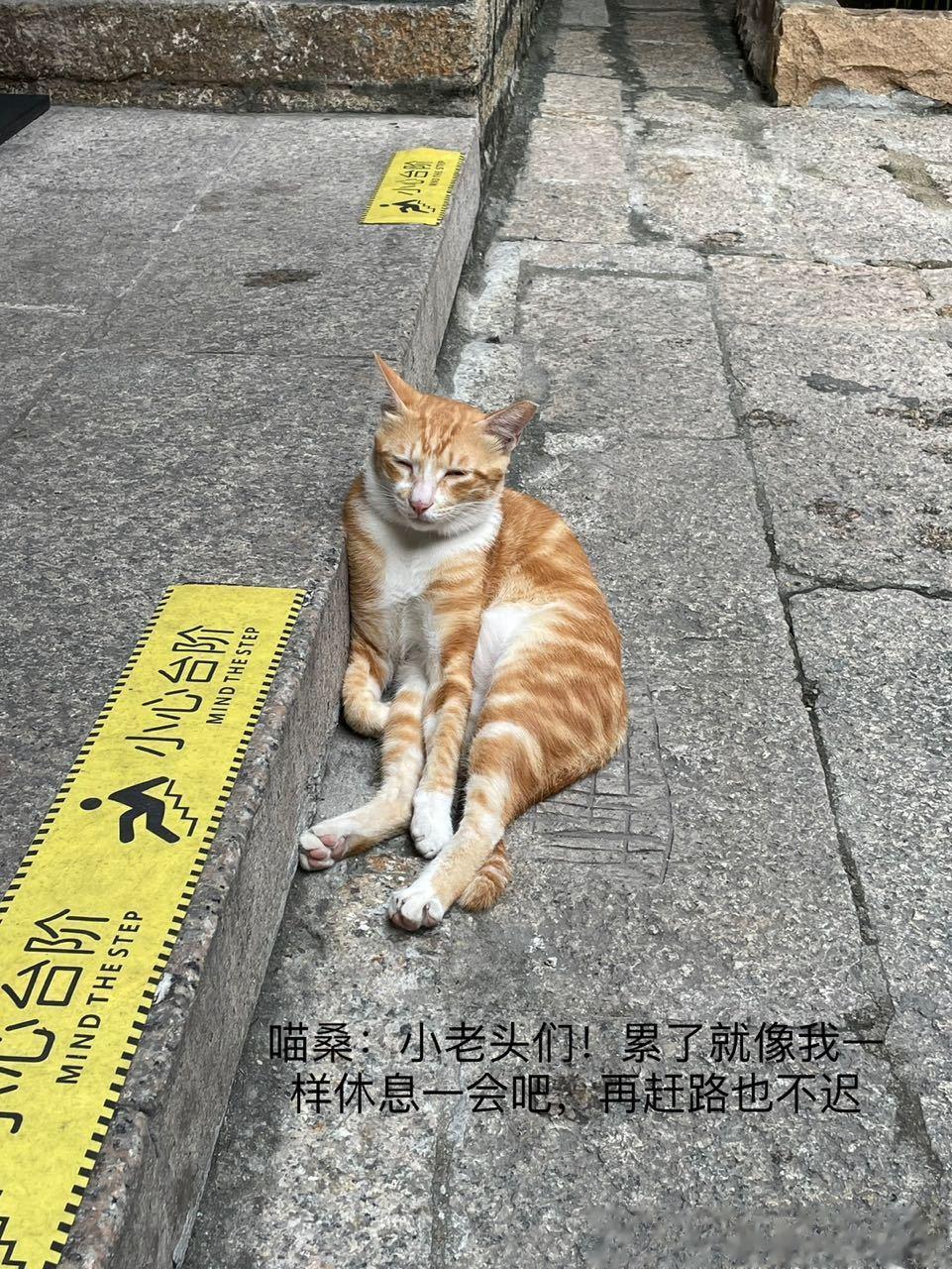 INFJ14543｜分享bot好！来和各位小老头们分享一下我感悟的“幸福”，生活