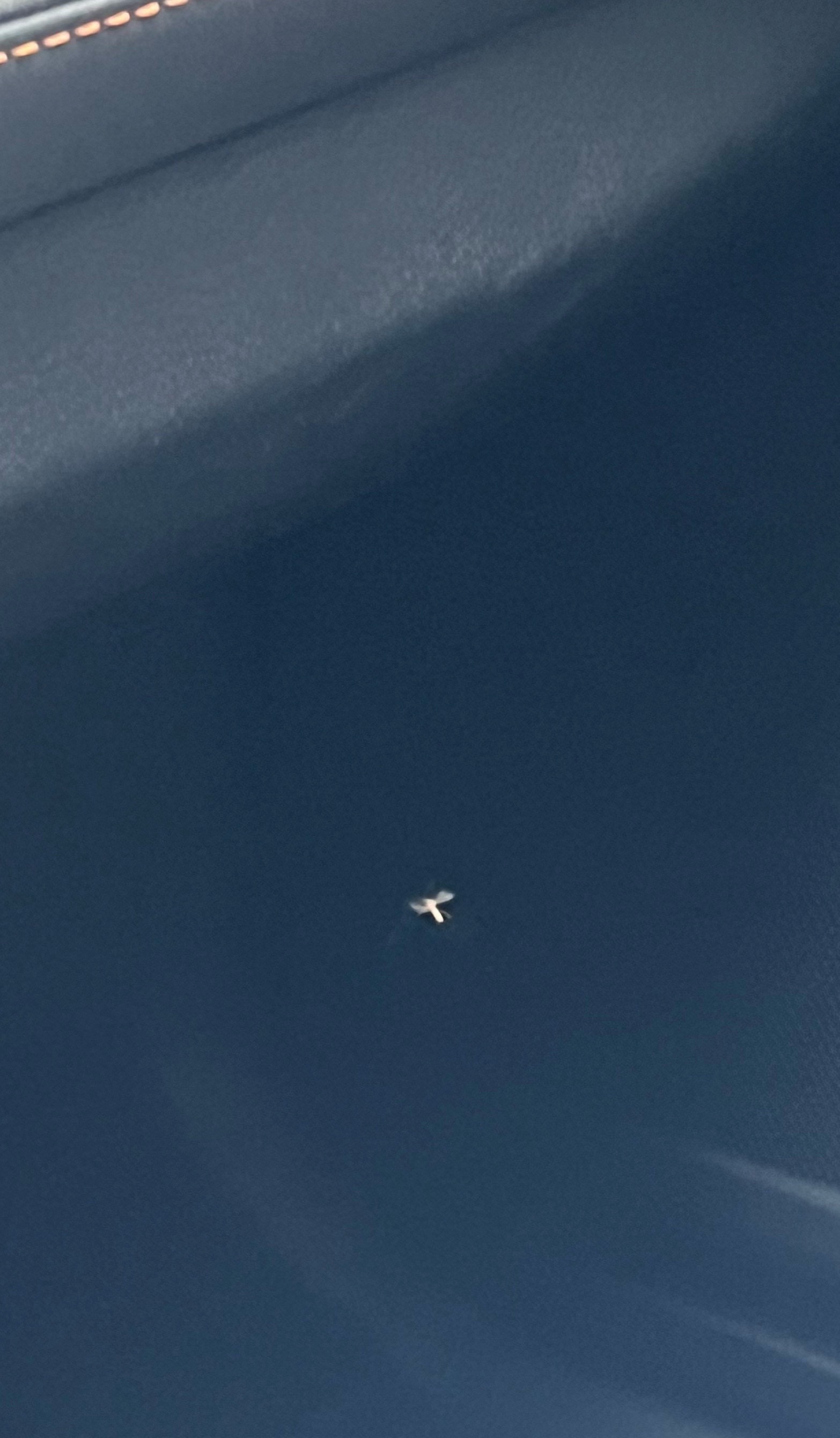 虫子们请享受户外空间别来我房间和车里了好不好