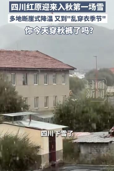 下雪了！四川红原迎来入秋第一场雪。

九月的成都还在穿短袖，川西北高原上的红原大