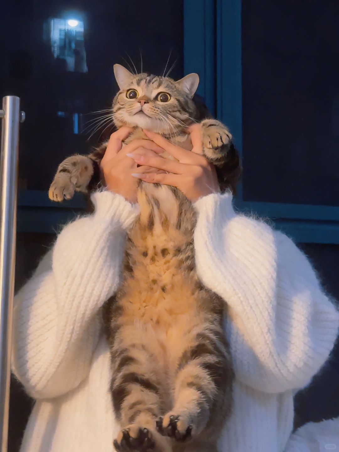 圣火喵喵教万岁！！！