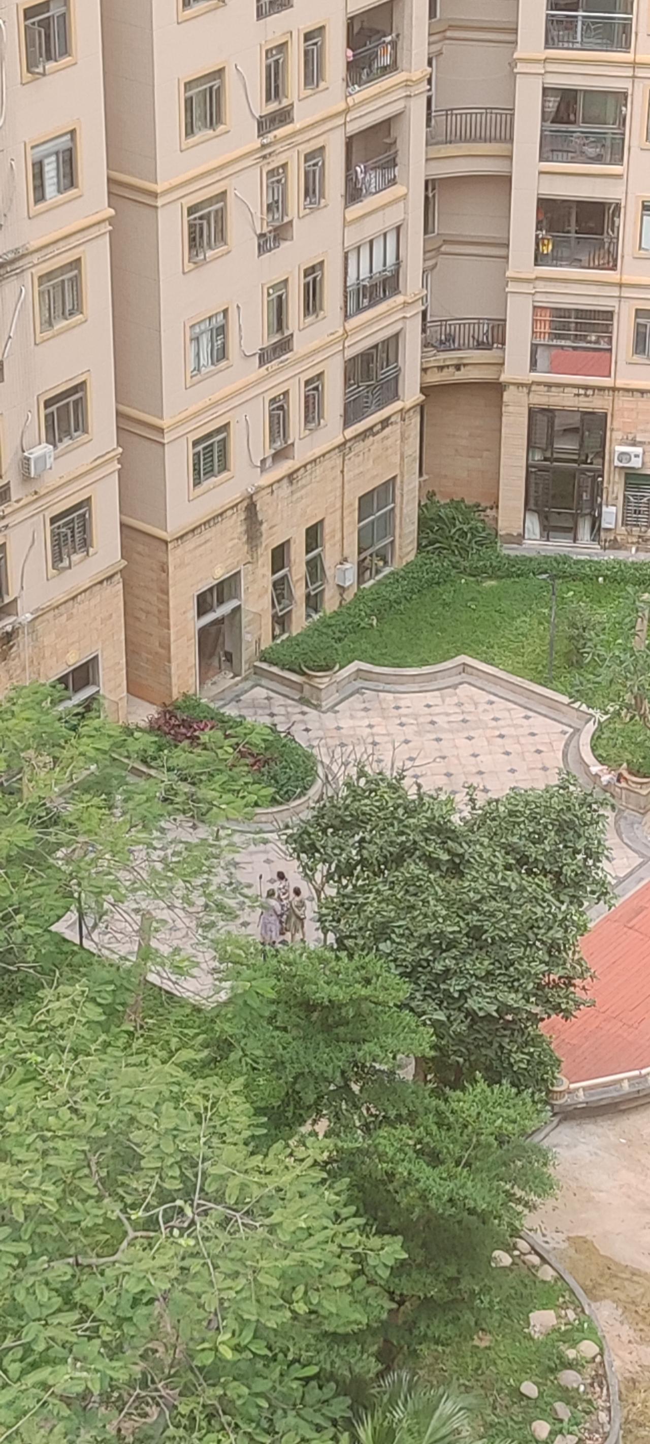 楼下传来悦耳的音乐声，几位大妈在跳广场舞，不知怎的，我总融不进去。
在我们小区，