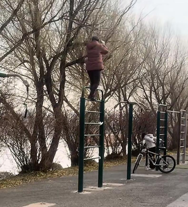 早起散步看到一大妈高空踩高跷式健身，路过为她捏把汗。目测一下这个背身压腿的器材有