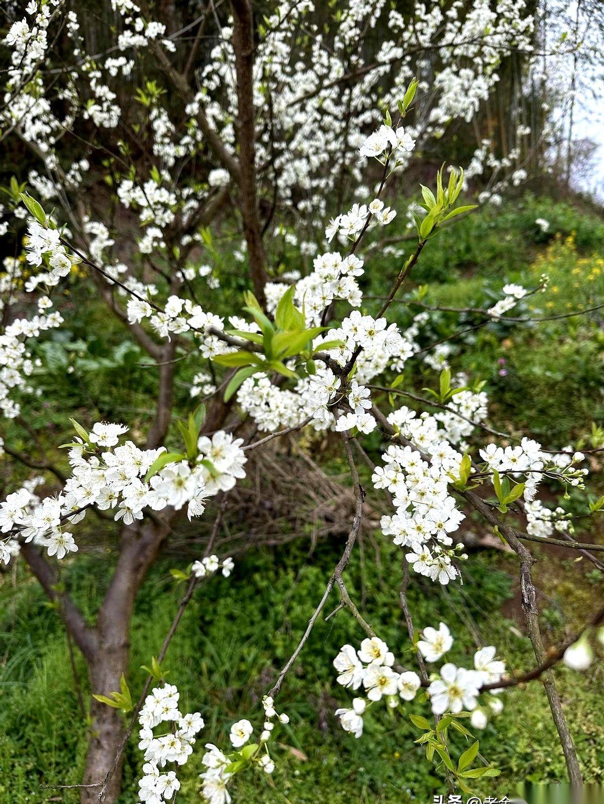 我跟你说啊，最近刷到个东西，简直就是把我心里那些话说出来了，说得那叫一个透彻！很